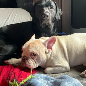 Meet your Posher, Lena